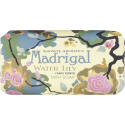 Madrigal / Water lily